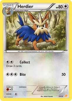 Herdier 19/30