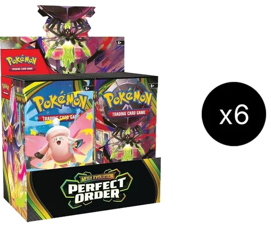 Perfect Order 6 Booster Box Case