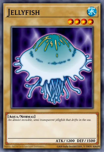 Jellyfish