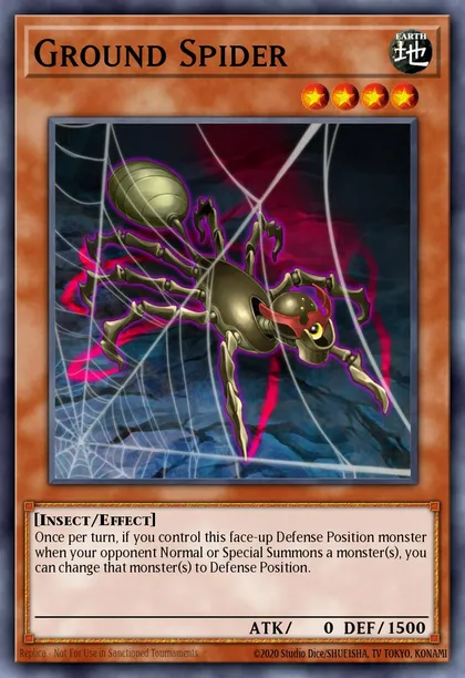 Ground Spider