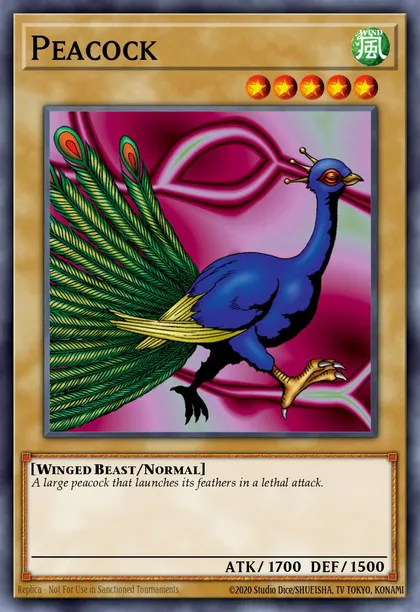Peacock