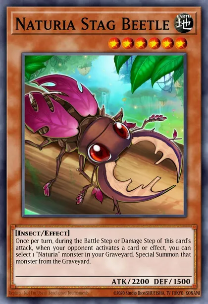 Naturia Stag Beetle
