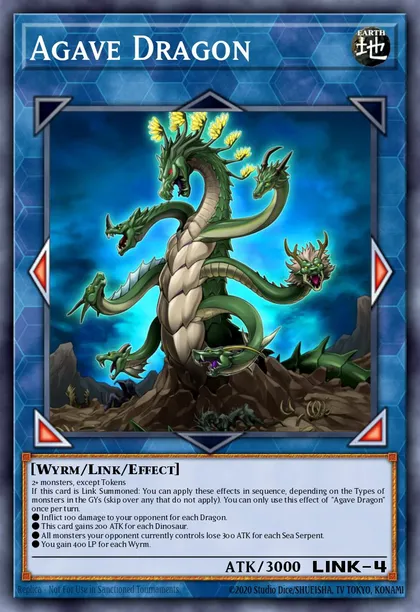 Agave Dragon