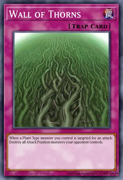 Wall of Thorns