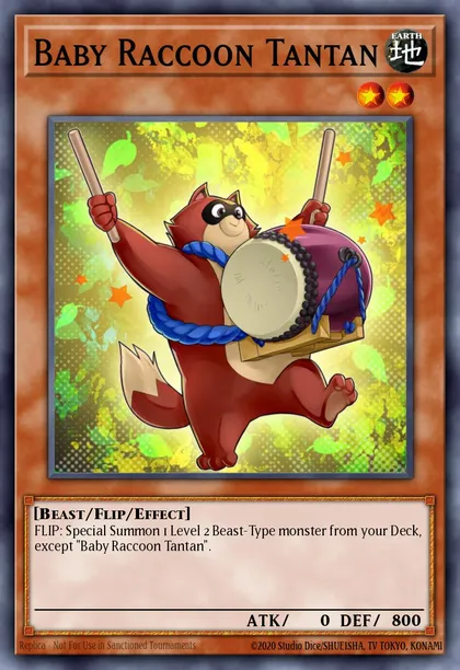 Baby Raccoon Tantan