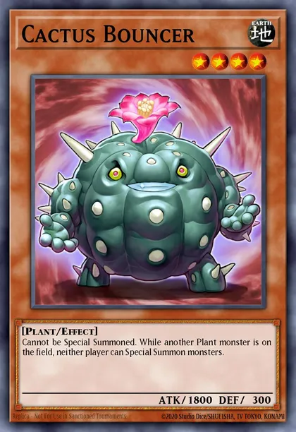 Cactus Bouncer