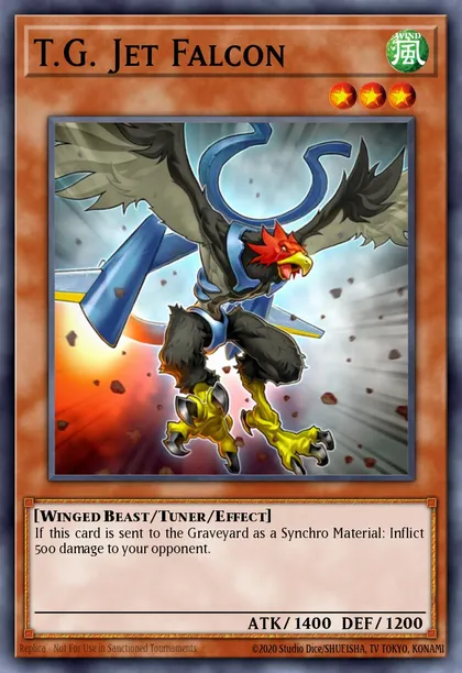 T.G. Jet Falcon