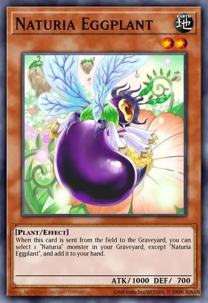 Naturia Eggplant