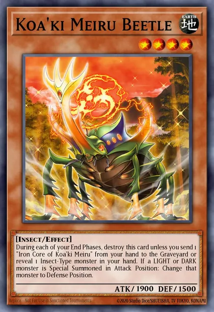 Koa'ki Meiru Beetle