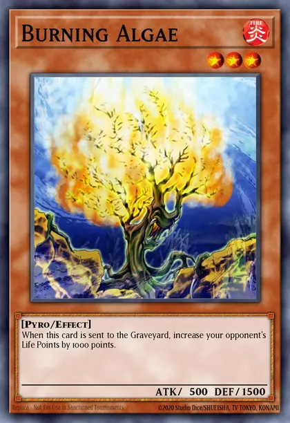 Burning Algae