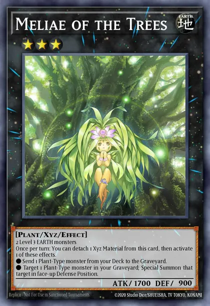 Meliae of the Trees