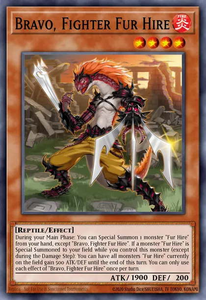 Bravo, Fighter Fur Hire