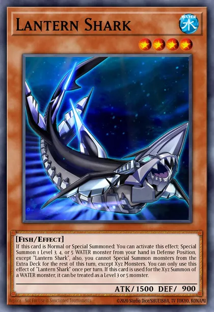 Lantern Shark