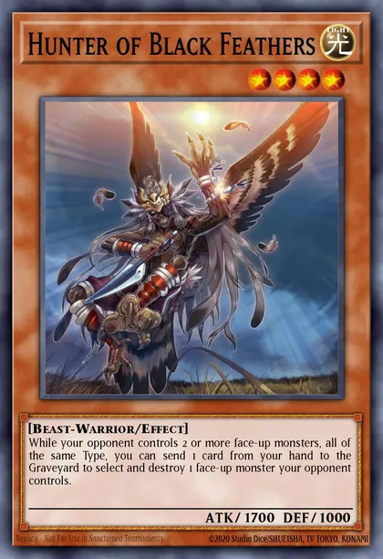 Hunter of Black Feathers