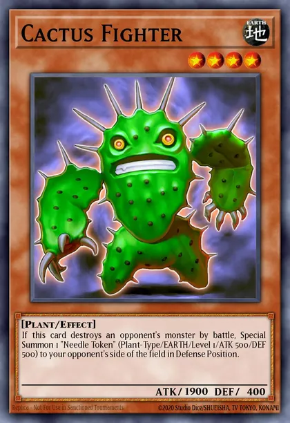 Cactus Fighter