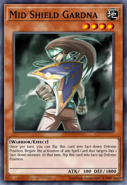 Mid Shield Gardna