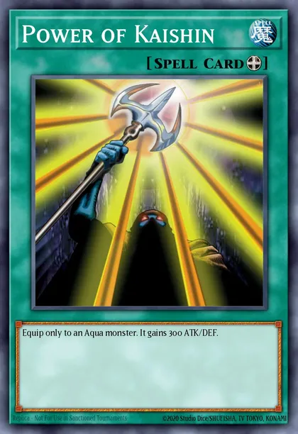 Power of Kaishin