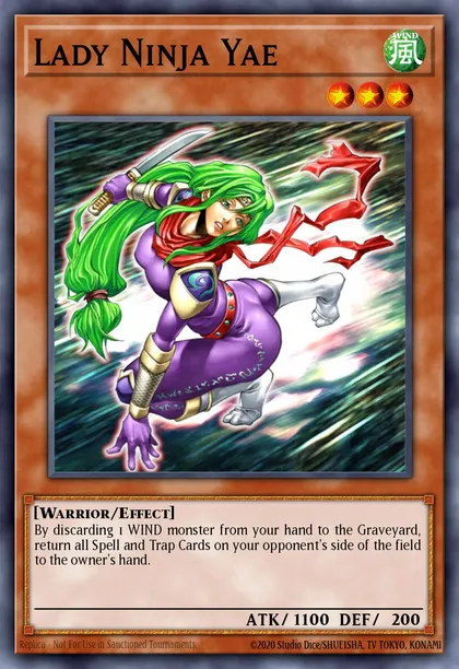 Lady Ninja Yae