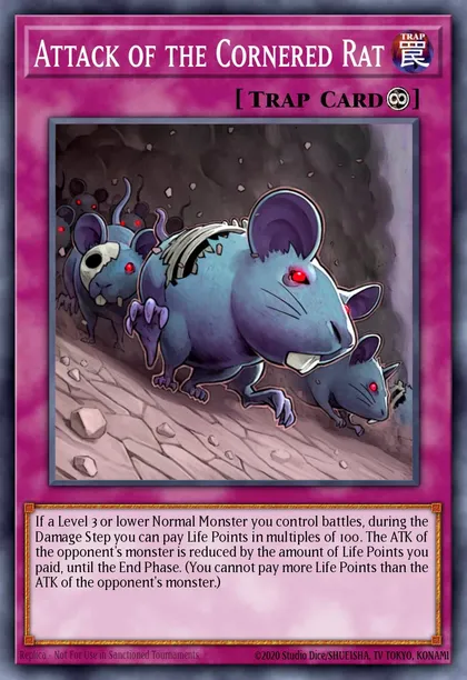 Attack of the Cornered Rat
