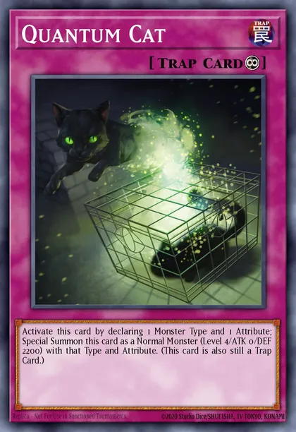 Quantum Cat