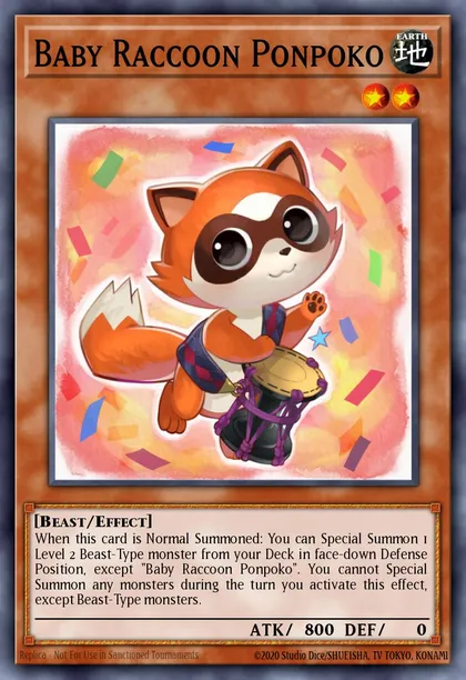 Baby Raccoon Ponpoko