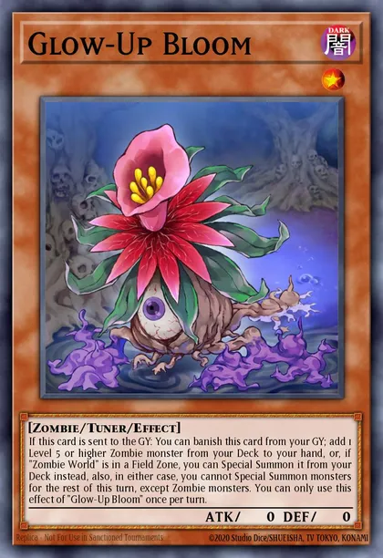 Glow-Up Bloom
