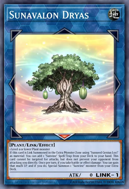 Sunavalon Dryas