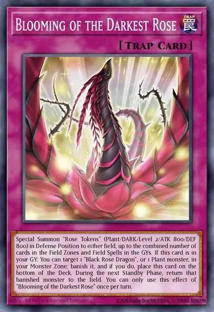 Blooming of the Darkest Rose