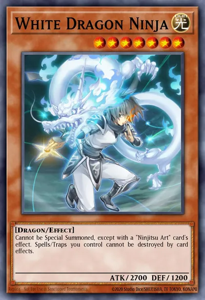 White Dragon Ninja
